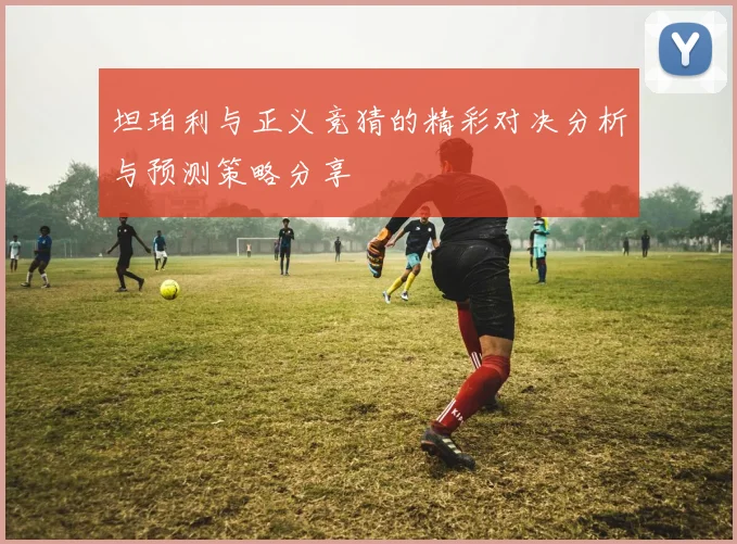 坦珀利与正义竞猜的精彩对决分析与预测策略分享