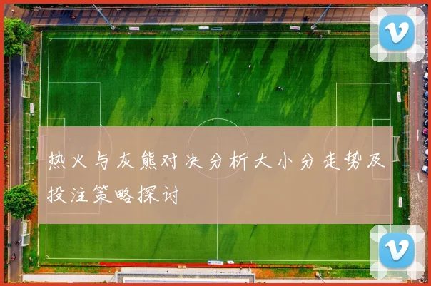 热火与灰熊对决分析大小分走势及投注策略探讨